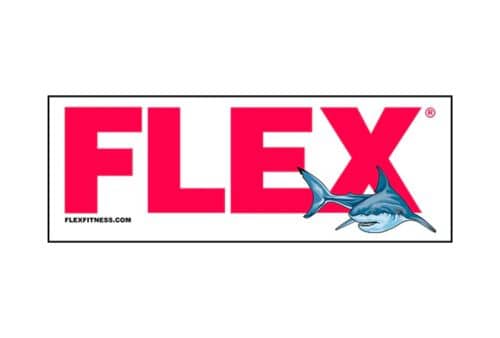 Flex Fitness